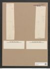 Pleurosigma hermanii Ralfs. (de-Toni-Nr.: Genus 13, Species 1011) Zeichnungen Sammlung Grunow Nr. 2063 (NHMW-BOT-W0368924)